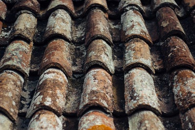 The damage should be kept intact as long as possible, as is the case with this rusted and damaged roof.
